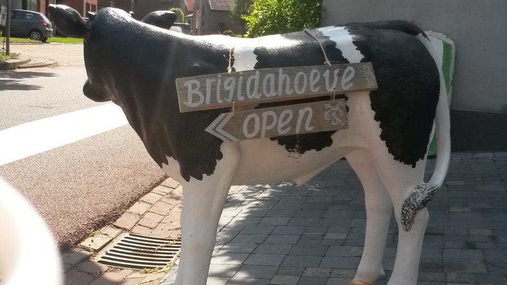 Brigidahoeve Maastricht Eksteriør billede